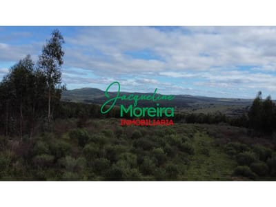 *CH101167* CAMPO EN VENTA, 27 HAS. EN PUEBLO EDEN.