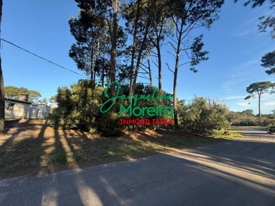 **T101596** terreno en venta PIRIAPOLIS zona Country