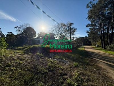 **T101597** Terreno en venta PIRIAPOLIS zona Country