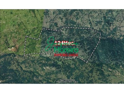 *CH101178* CAMPO DE 124 HECTÁREAS EN VENTA EN AIGUÁ