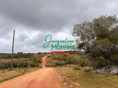 *CH101179* CHACRAS DE 3 HECTÁREAS EN VENTA EN LAS CAÑAS
