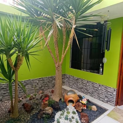 Vendo Casa de 3 niveles en Urb. Los Nardos-Tacna