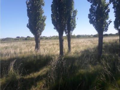 1086- venta campo 136 hectareas en Estacion Solis Minas Lavalleja