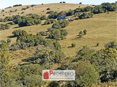 AL1116 Venta 40 hectareas de Pradera en Paraje Sauce Aiguá