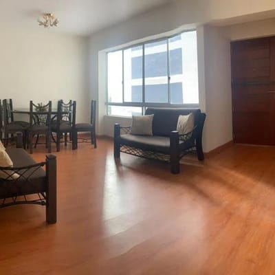 Departamento - Lince