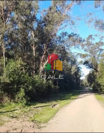 Venta de terreno en Sauce de Portezuelo