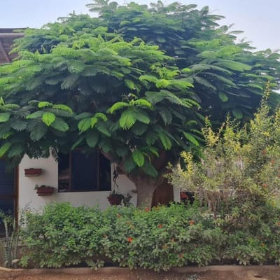 Venta de Terreno en Lurn