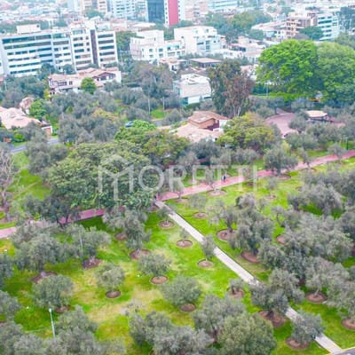 Atencin Constructores Venta de Casa a precio de Terreno en El Olivar