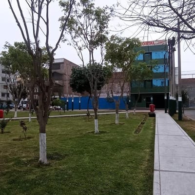 Primer Piso