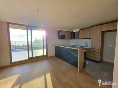 Alquiler Apartamento 1 dormitorio con Terraza parrillero Parque Rodó