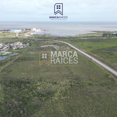 Venta Terrenos Logisticos En Exclusiva Frente al Polo Logistico Punta Sayago Montevideo