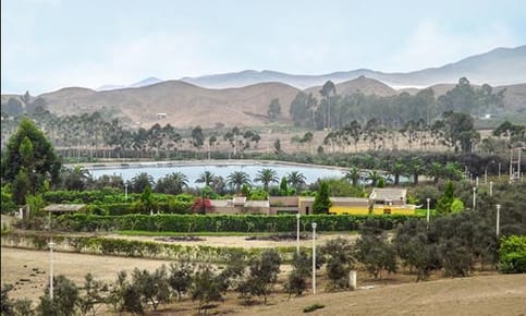 Ocasion Terreno Condominio Finca Olivos