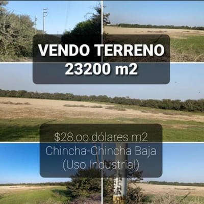 VENDO TERRENO INDUSTRIAL 2.32 ha. CHINCHA BAJA - CHINCHA