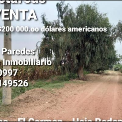 VENDO TERRENO AGRICOLA EN CHINCHA