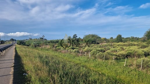 Se vende terreno sobre Ruta 9, Rocha.