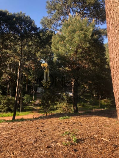 Terreno en venta en Club del Lago Maldonado