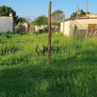 Se vende terreno en Ciudad de Rocha.