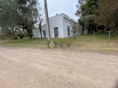 CHACRA EN VENTA SOBRE RUTA 90 PAYSANDU
