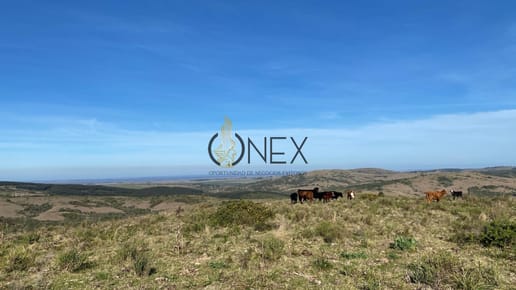 Se vende chacra en Castillos, Rocha