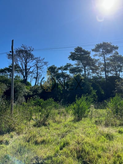 SE VENDE TERRENO EN OCEAN PARK