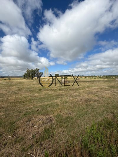 Venta de campo en Aiguá, Maldonado.