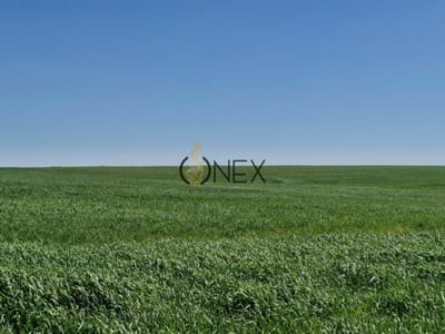 Campo en venta en Arroyo Negro | 120 hectáreas