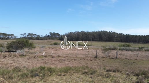 Se vende Chacra en Oceanía del Polonio, Rocha.