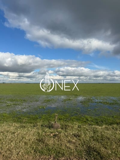 Se vende en Corral de Palma