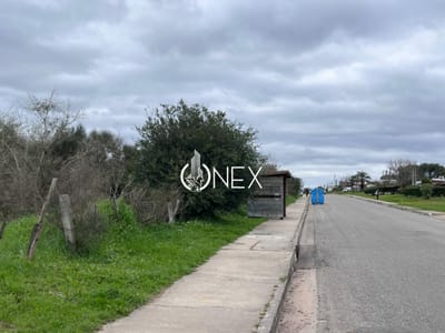 Oportunidad para desarrolladores , terreno de 22.864 m2 en San Carlos, con potencial de fraccionamiento.