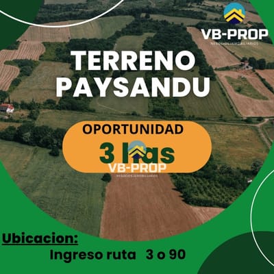 Venta Chacra Paysandú Golf Ruta 90 Ruta 3 Campo