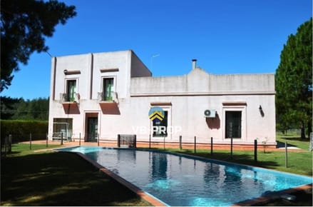 Venta campo Paysandu Quebracho - frutícola - forestal - ganadero