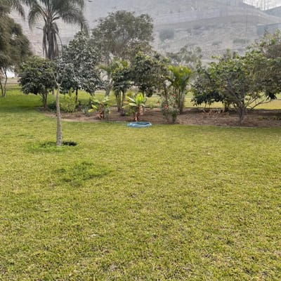 Terreno Urb El Golf de Huampani