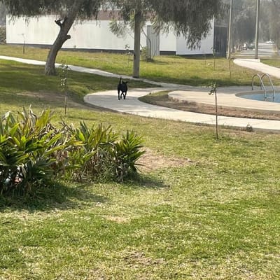 Urb El golf de Huampani
