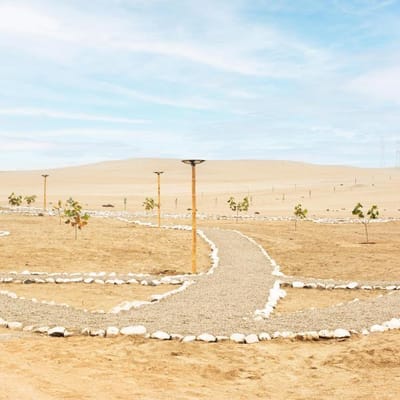 LOTES DE CAMPO. Km. 163 de la Panamericana Sur – Cañete