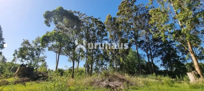 TERRENO EN VENTA ZONA GOLF PUNTA DEL ESTE