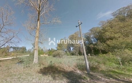 TERRENO EN VENTA ZONA EL JAGUEL PUNTA DEL ESTE - IDEAL INVERSORES