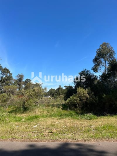 TERRENO EN VENTA - GOLF - PUNTA DEL ESTE