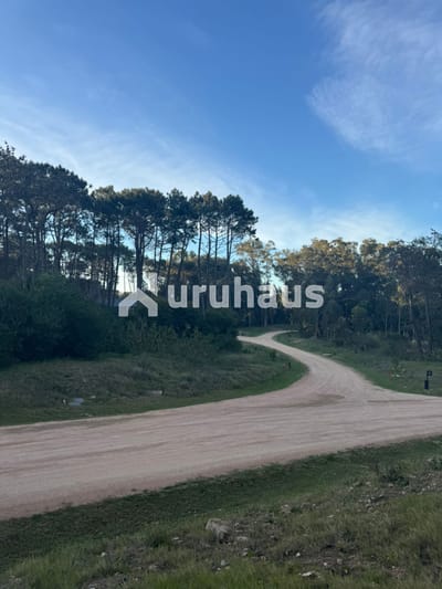 LOTE EN VENTA RESERVA MONTOYA LA BARRA