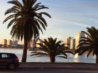 VENTA APARTAMENTO PRIMERA LINEA 3 DORMITORIOS FRENTE AL MAR EN PENINSULA PUNTA DEL ESTE