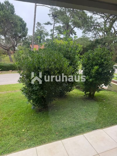 VENTA PUNTA DEL ESTE 1 DORMITORIO BRAVA ISLA VERDE