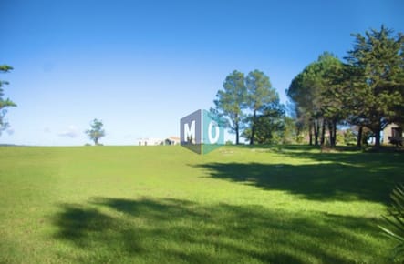 Espectacular chacra en Ruta 39 con 700 m2. construidos