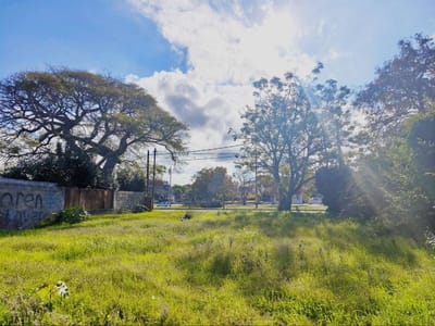 Venta Casa 4 Dormitorios en Carrasco