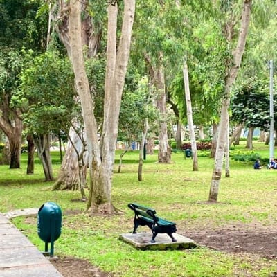DEPARTAMENTO IDEAL POR ESPACIOS E INGRESO A PARQUE PRIVADO EN ZONA DE PARQUES