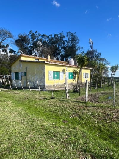 VENTA CAMPO AGRICOLA GANADERO 296há (9 PADRONES) ARROZAL TREINTA Y TRES