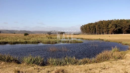 Hermoso campo de 60 hectáreas en el prestigioso Valle de Aiguá.