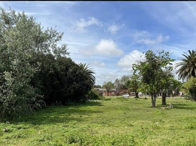 Terreno en venta de 3960m2 ubicado en San Carlos