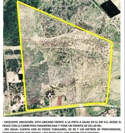 Remate de Fundo  Hectreas en Jayanca