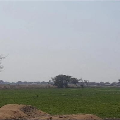 Venta  Hectreas a Filo de Pista Carr Lambayeque  Morrope