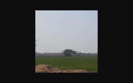 VENTA  HECTREAS A FILO DE PISTA CARR LAMBAYEQUEMORROPE