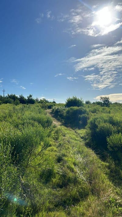 Excelente lote de 5 hs en camino del Golf, La Barra.